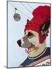 Dog in Ski Sweater-Fab Funky-Mounted Art Print