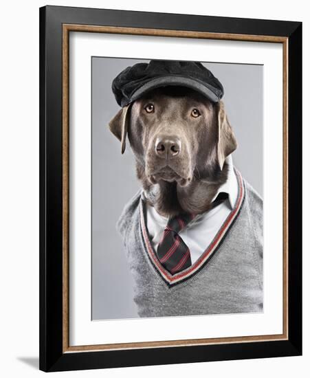 Dog in sweater and cap-Justin Paget-Framed Photographic Print