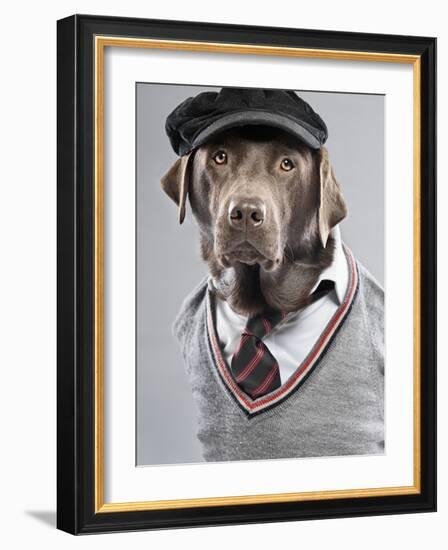 Dog in sweater and cap-Justin Paget-Framed Photographic Print