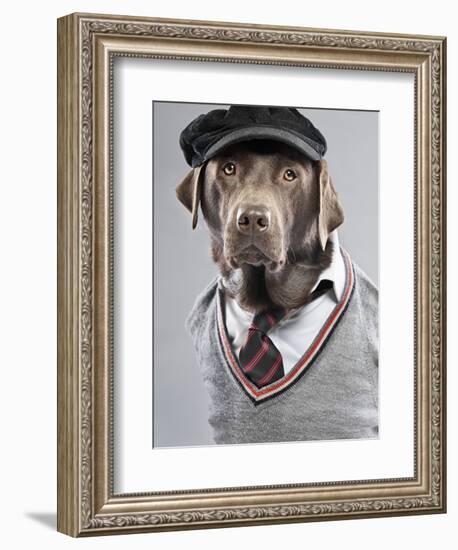 Dog in sweater and cap-Justin Paget-Framed Photographic Print