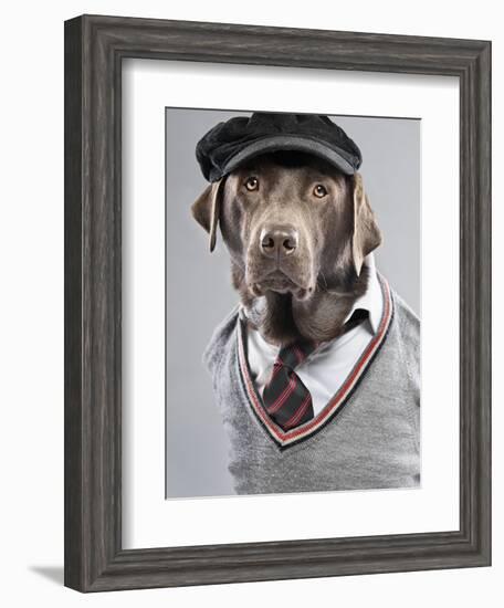 Dog in sweater and cap-Justin Paget-Framed Photographic Print