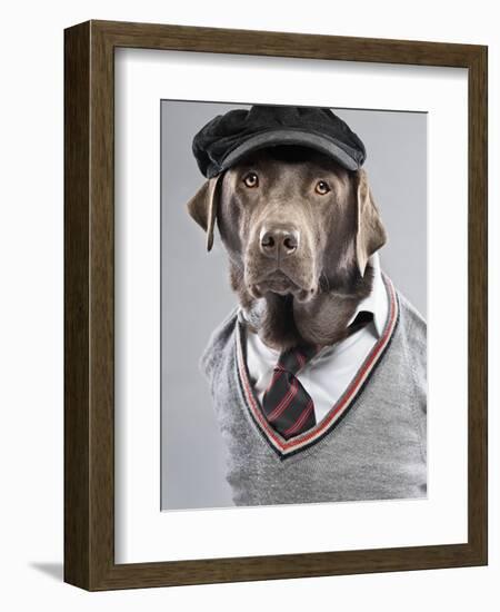 Dog in sweater and cap-Justin Paget-Framed Photographic Print