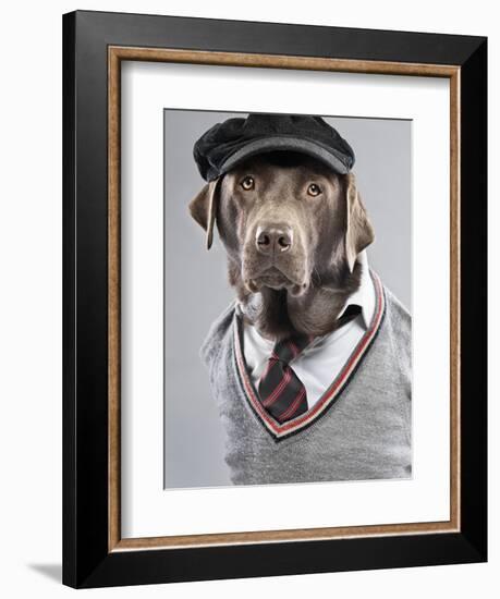 Dog in sweater and cap-Justin Paget-Framed Photographic Print