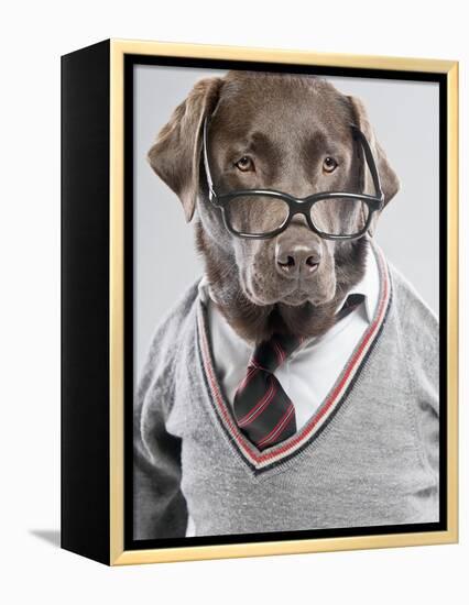 Dog in Sweater and Glasses-Justin Paget-Framed Premier Image Canvas