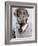 Dog in Sweater and Glasses-Justin Paget-Framed Photographic Print