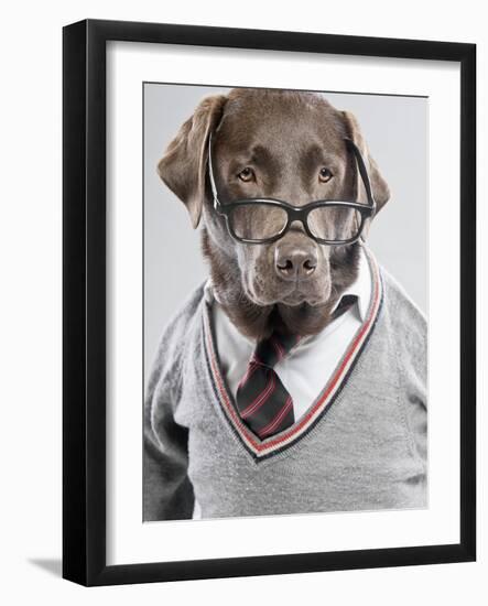 Dog in Sweater and Glasses-Justin Paget-Framed Photographic Print