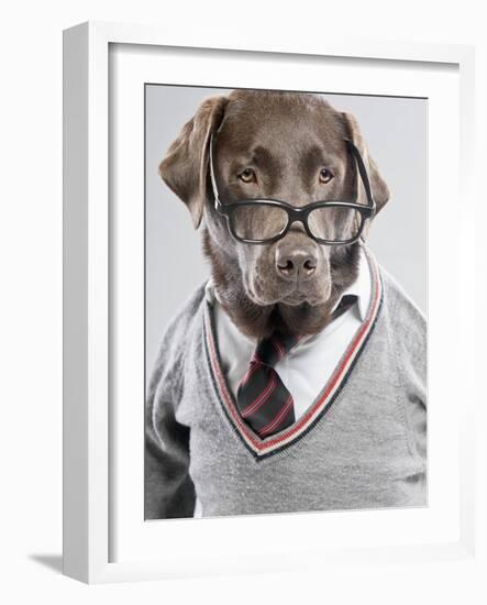 Dog in Sweater and Glasses-Justin Paget-Framed Photographic Print