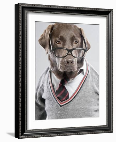 Dog in Sweater and Glasses-Justin Paget-Framed Photographic Print