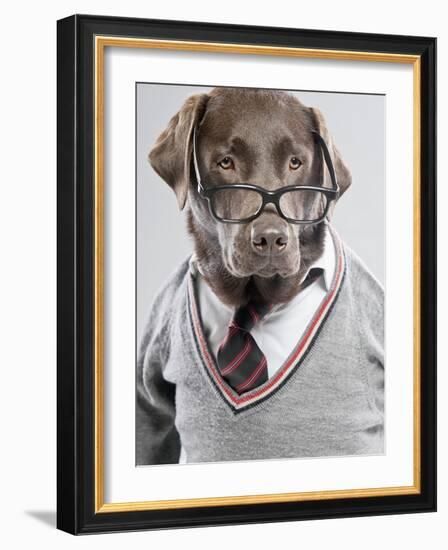 Dog in Sweater and Glasses-Justin Paget-Framed Photographic Print