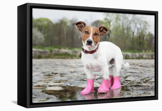 Dog in the Rain-Javier Brosch-Framed Premier Image Canvas