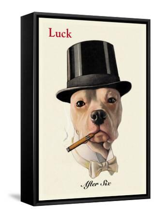 dog top hat