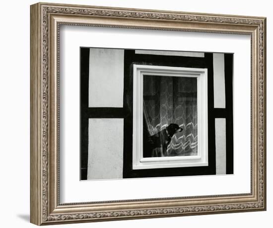 Dog In Window, Europe, 1968-Brett Weston-Framed Photographic Print