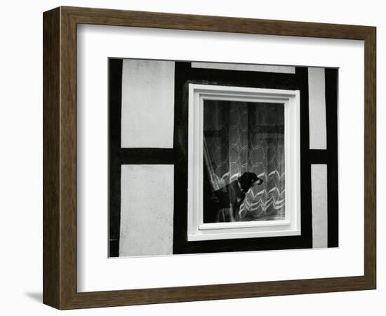 Dog In Window, Europe, 1968-Brett Weston-Framed Photographic Print