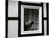 Dog In Window, Europe, 1968-Brett Weston-Mounted Premium Photographic Print