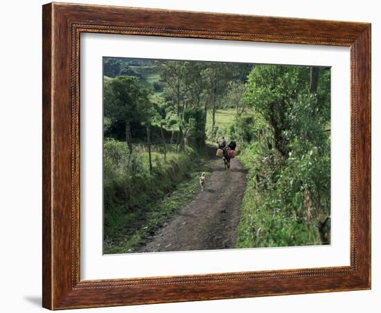 Dog Leads the Way for Donkey and Keeper, Near Cotopaxi Volcano, Ecuador, South America-Aaron McCoy-Framed Photographic Print