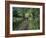 Dog Leads the Way for Donkey and Keeper, Near Cotopaxi Volcano, Ecuador, South America-Aaron McCoy-Framed Photographic Print