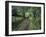 Dog Leads the Way for Donkey and Keeper, Near Cotopaxi Volcano, Ecuador, South America-Aaron McCoy-Framed Photographic Print