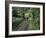 Dog Leads the Way for Donkey and Keeper, Near Cotopaxi Volcano, Ecuador, South America-Aaron McCoy-Framed Photographic Print