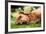 Dog Lieing on its Side Looking into the Camera-Sam Chadwick-Framed Photographic Print