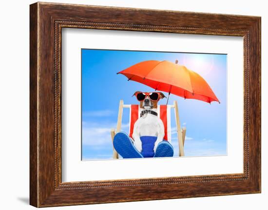 Dog Listen To Music With A Music Player-Javier Brosch-Framed Photographic Print