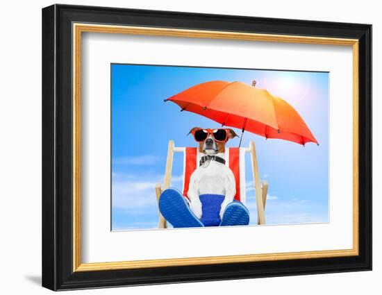 Dog Listen To Music With A Music Player-Javier Brosch-Framed Photographic Print