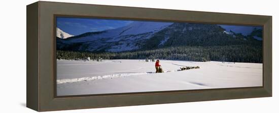 Dog Musher and Sled Dog Team on Snow-Covered Trail, Chugach Mountains, Alaska, USA-null-Framed Premier Image Canvas