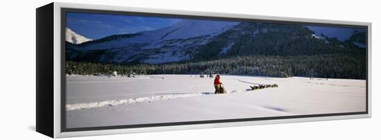 Dog Musher and Sled Dog Team on Snow-Covered Trail, Chugach Mountains, Alaska, USA-null-Framed Premier Image Canvas