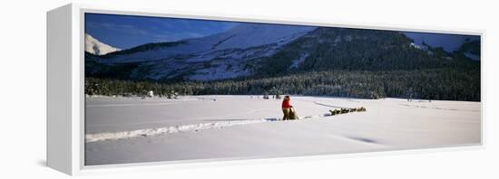 Dog Musher and Sled Dog Team on Snow-Covered Trail, Chugach Mountains, Alaska, USA-null-Framed Premier Image Canvas