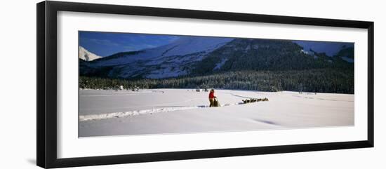 Dog Musher and Sled Dog Team on Snow-Covered Trail, Chugach Mountains, Alaska, USA-null-Framed Photographic Print