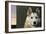 Dog - Nature #9-James W Johnson-Framed Giclee Print