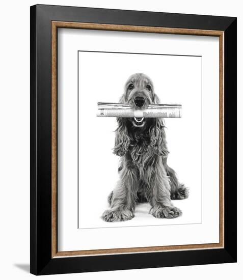 Dog News-Jean-Michel Labat-Framed Art Print