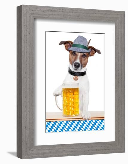 Dog Oktoberfest-Javier Brosch-Framed Photographic Print