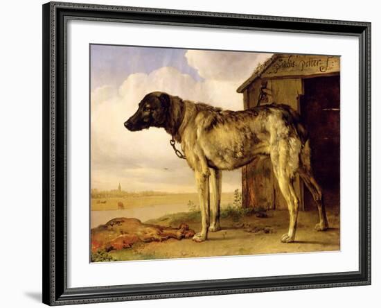 Dog on a Chain, 1653-4-Paulus Potter-Framed Giclee Print