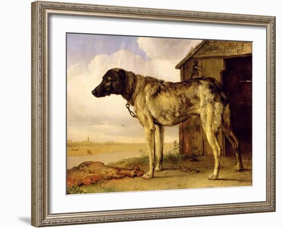 Dog on a Chain, 1653-4-Paulus Potter-Framed Giclee Print