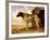 Dog on a Chain, 1653-4-Paulus Potter-Framed Giclee Print