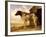 Dog on a Chain, 1653-4-Paulus Potter-Framed Giclee Print