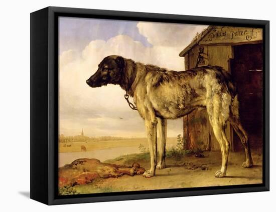 Dog on a Chain, 1653-4-Paulus Potter-Framed Premier Image Canvas