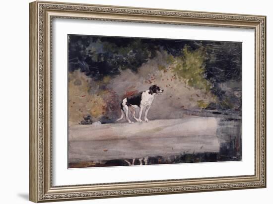 Dog on a Log, 1889 (W/C & Graphite on Wove Paper)-Winslow Homer-Framed Giclee Print