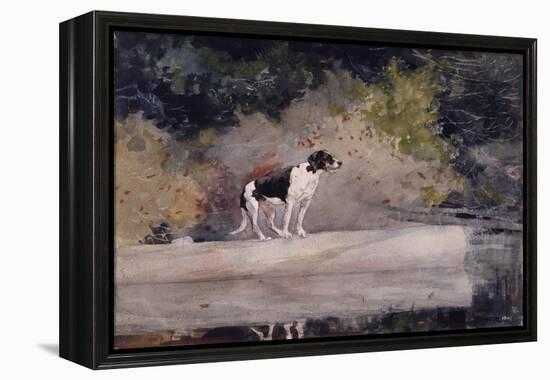 Dog on a Log, 1889 (W/C & Graphite on Wove Paper)-Winslow Homer-Framed Premier Image Canvas