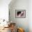 Dog on a Rug-Durwood Coffey-Framed Giclee Print displayed on a wall