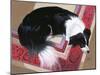 Dog on a Rug-Durwood Coffey-Mounted Giclee Print