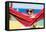 Dog on Hammock-Javier Brosch-Framed Premier Image Canvas