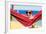 Dog on Hammock-Javier Brosch-Framed Photographic Print