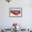 Dog on Hammock-Javier Brosch-Framed Photographic Print displayed on a wall