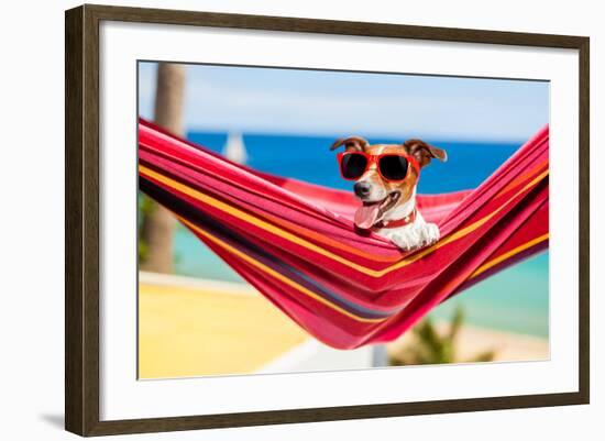 Dog on Hammock-Javier Brosch-Framed Photographic Print