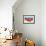 Dog on Hammock-Javier Brosch-Framed Photographic Print displayed on a wall