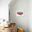 Dog on Hammock-Javier Brosch-Framed Photographic Print displayed on a wall