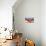 Dog on Hammock-Javier Brosch-Mounted Photographic Print displayed on a wall