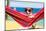 Dog on Hammock-Javier Brosch-Mounted Photographic Print