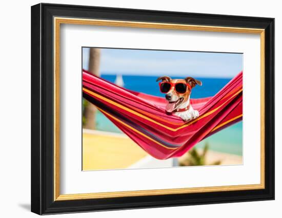 Dog on Hammock-Javier Brosch-Framed Photographic Print